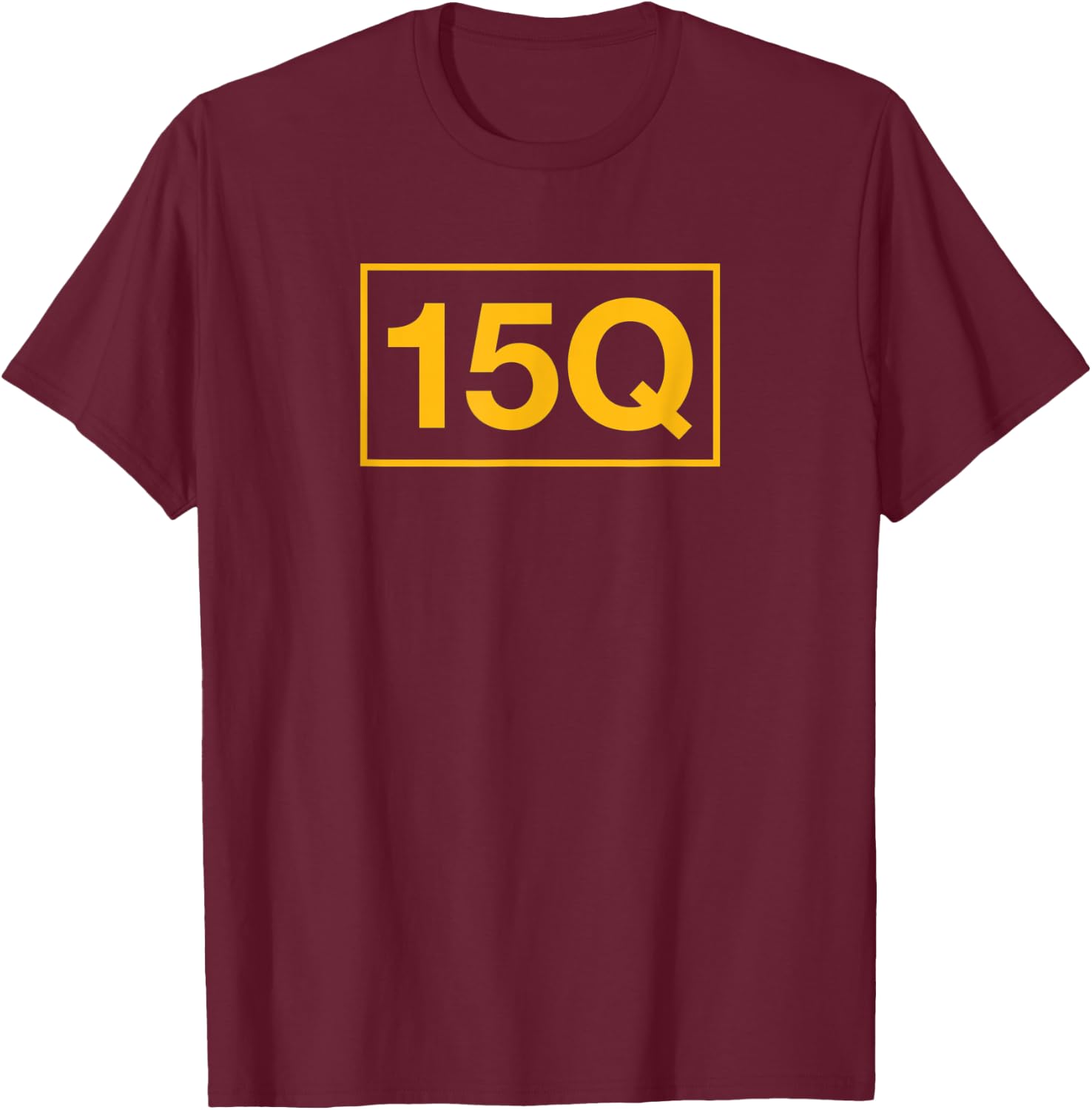 15Q Air Traffic Control Operator